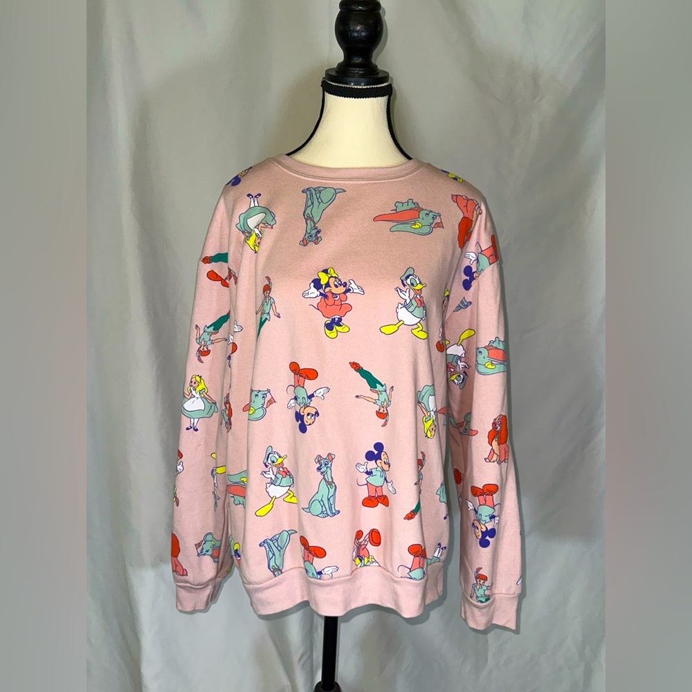 Disney 100 Characters Sweatshirt Pink Alice Lady Peter Pan Dumbo Mickey XL 15-17
